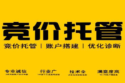 深度解析：百度SEM代运营成功案例分享